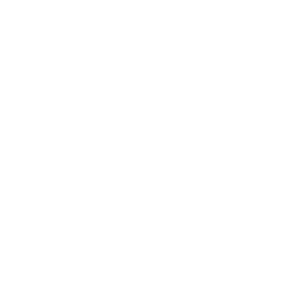 LOGO-DIVA